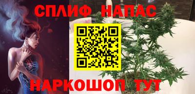 ECSTASY Новозыбков
