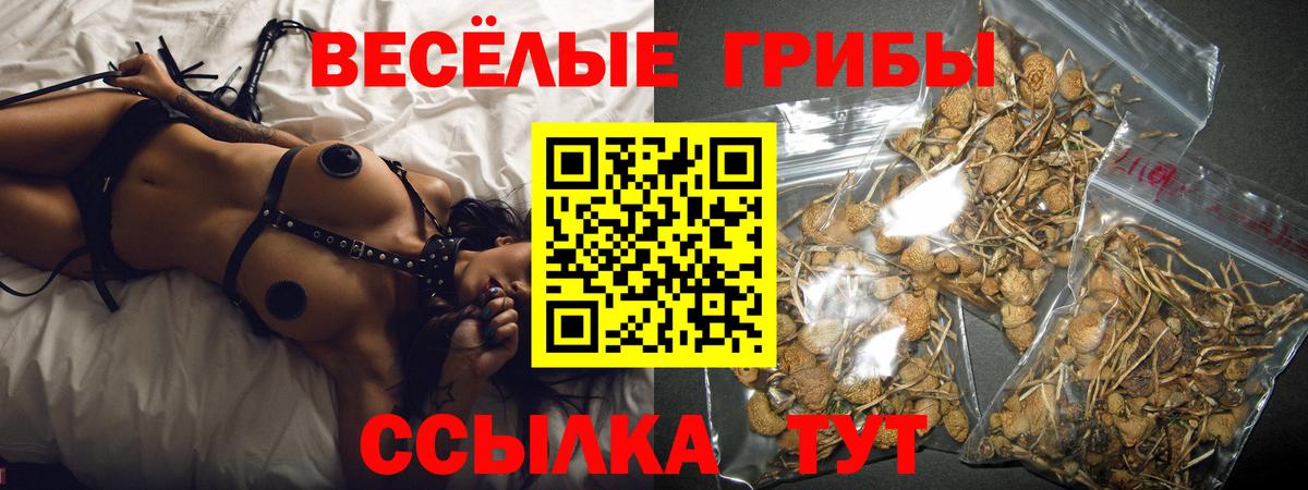 Псилоцибиновые грибы Psilocybine cubensis Сызрань